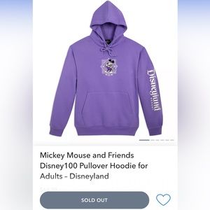 SUPER Rare Mickey Mouse & Friends Disney100 Purple Pullover Hoodie Adults Dland